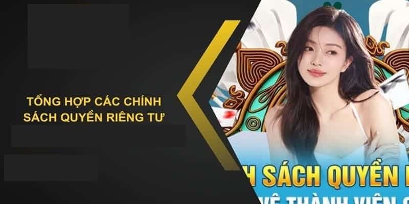 Phạm vi hoạt động và bảo mật của chính sách riêng tư năm 2024