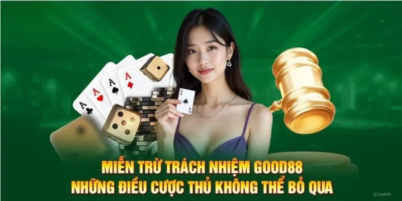 Tóm tắt vài nét về miễn trừ trách nhiệm 