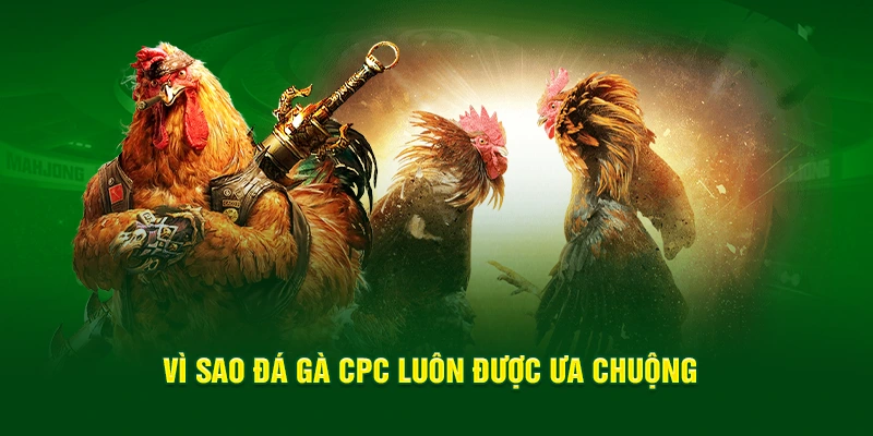 Vì sao đá gà CPC luôn được ưa chuộng